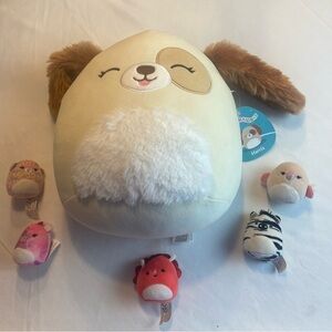 10” Harris Squishmallow (NWT) and 5 mini pre-owned Squishmallows